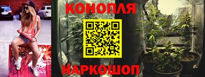 Альфа ПВП Будённовск