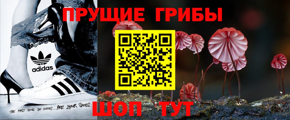 Псилоцибиновые грибы GOLDEN TEACHER  Вход с VPN  Ростов-на-Дону 